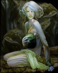 白菜を人形に整形した美しいアート