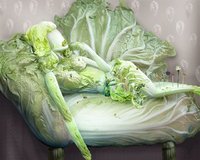 白菜を人形に整形した美しいアート
