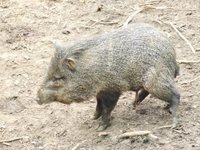 ネオパークオキナワに行ってきました