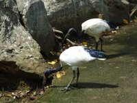 ネオパークオキナワに行ってきました