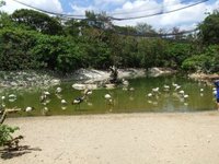 ネオパークオキナワに行ってきました