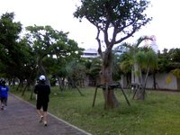 今朝は新都心にてウォーキングしてきました