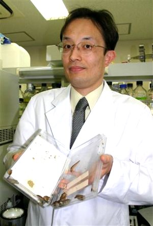 カラダが太ると脳も大きくなる!? ナメクジで解明