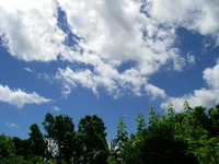 プラサン　復活 2010/07/11 10:48:53