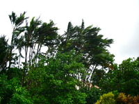 台風14号 2010/10/28 10:35:03