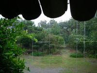 雨 2009/11/24 16:54:03
