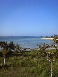 46日目 2010/12/02 09:44:23
