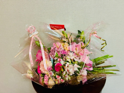 ベーシッククラス