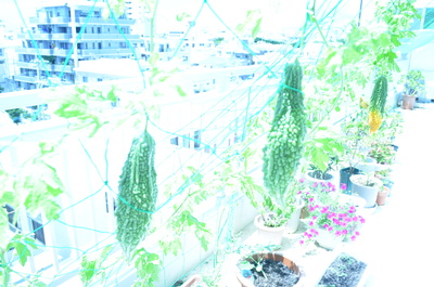 沖福アタイグゥワー情報～♪