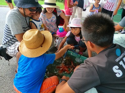 出前タッチプールin電気科学館