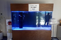 水槽レイアウト(仮)　‹‹\(´ω` )/›› 2020/03/06 16:53:36