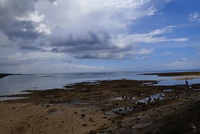 浅瀬の生き物たち 2019/08/29 17:11:42
