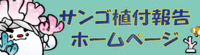モニタリング報告！
