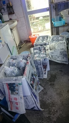 出荷✈