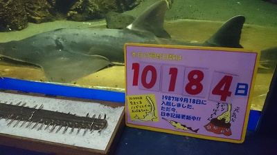 二見シーパラダイス♪3