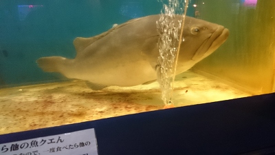 二見シーパラダイス♪2