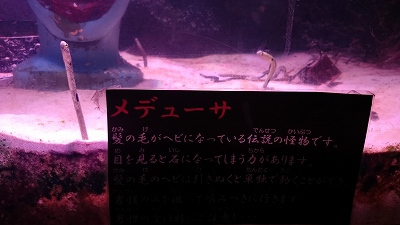 二見シーパラダイス♪4