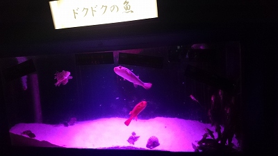 二見シーパラダイス♪4