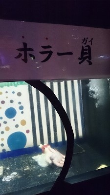 二見シーパラダイス♪4