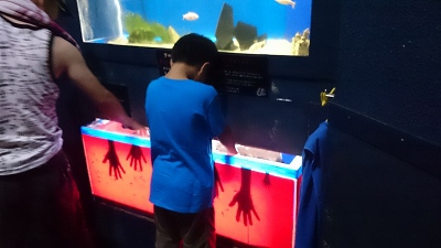 二見シーパラダイス♪4