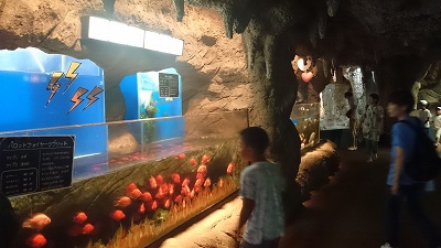 二見シーパラダイス♪3