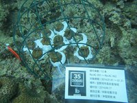 １年モニタリング報告！【㈲新垣菓子店】