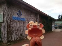 ☆箱根園水族館☆ 2015/03/11 22:26:56