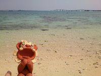 ☆伊良部島・下地島☆ 2015/03/28 01:06:24