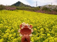 ☆お誕生日祝い☆ 2015/04/24 10:29:09