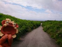 ☆波照間島の風景☆ 2015/05/31 00:45:45
