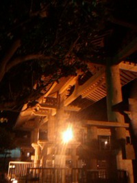 自主トレ→まだまだこれから→持ち直す私(笑) 2014/11/25 20:53:11