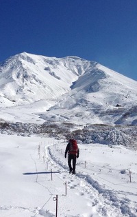 銀嶺…旭岳2015年10月中旬 2016/01/15 15:37:54