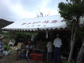 沖縄で大人気の珍しいお花畑