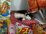 なつきちゃんの駄菓子