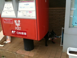 かずこと郵便局へ