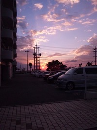 師走… 2010/12/03 22:33:26