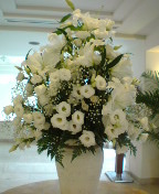 クリームブリュレlove 2009/05/24 17:36:06