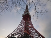 久々です！ 2009/02/19 05:38:34