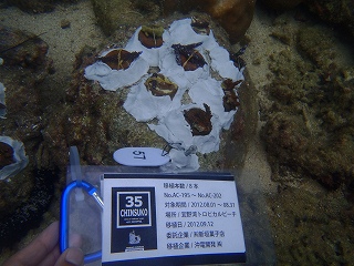 モニタリング報告！