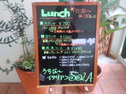 SOLA 案内