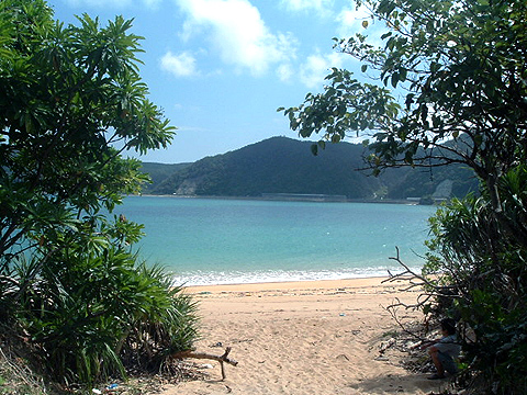スクバマ（東村）