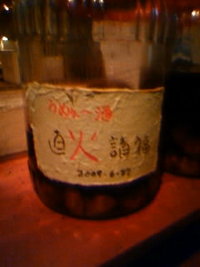 自家製梅酒 2009/11/26 21:52:36