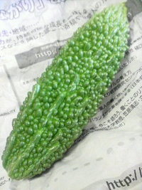 おはよう！ 2008/07/19 09:56:41