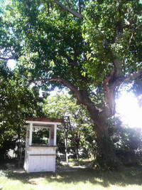 休日 2008/07/21 22:42:15