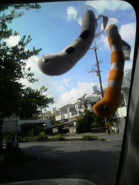 アナゴ 2008/09/09 00:37:03