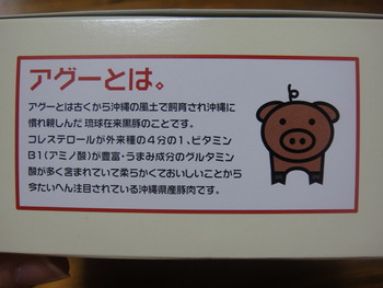 Coralway（那覇空港）の「紅豚アグーカツバーガー」