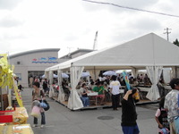 まぐろや本舗（泊いゆまち）の「まぐろカツバーガー」 2010/05/04 09:38:44