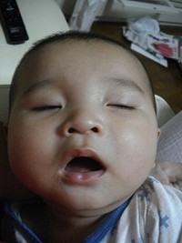 場所見知り 2010/11/24 11:44:02