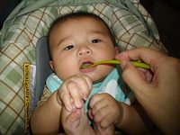 離乳食 2010/12/02 12:00:32