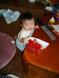 忍び寄る影 2011/02/24 08:48:23